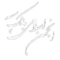 صفحه اصلی