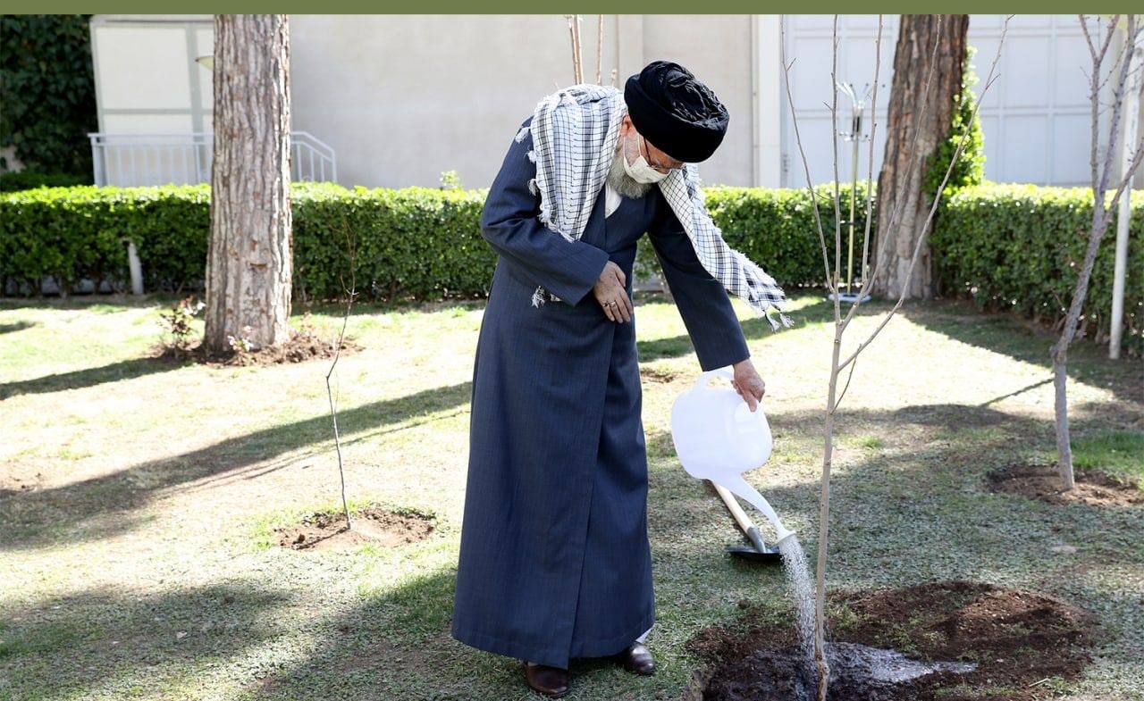 کاشت نهال در روز درخت کاری توسط رهبر انقلاب